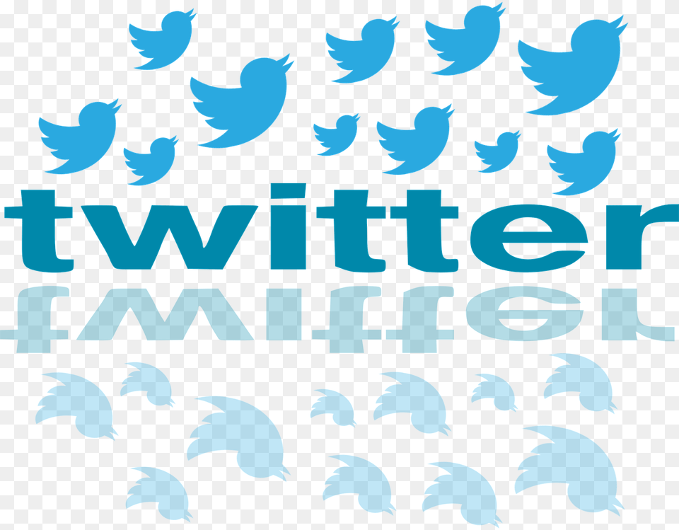 Recomendaciones Para Triunfar Twitter Is Biased, Pattern, Animal, Bird, Text Free Png