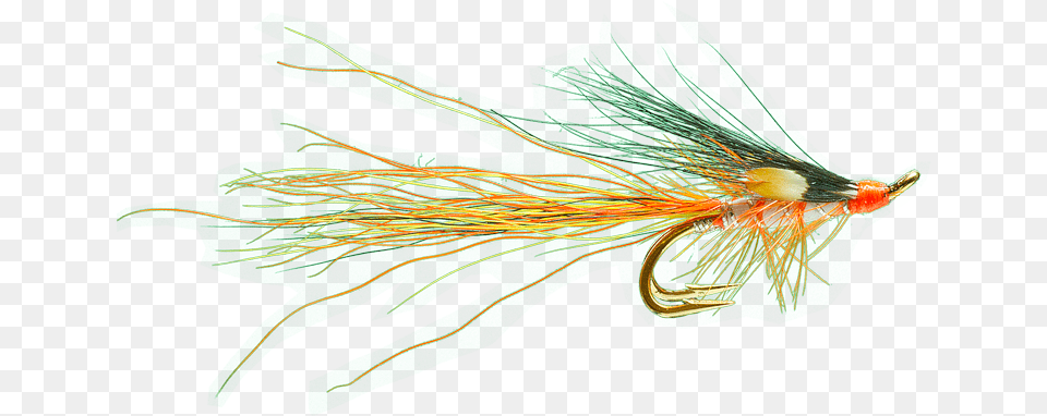 Recommended Salmon Flies For The Wye Dyed, Fishing Lure, Animal, Sea Life Png
