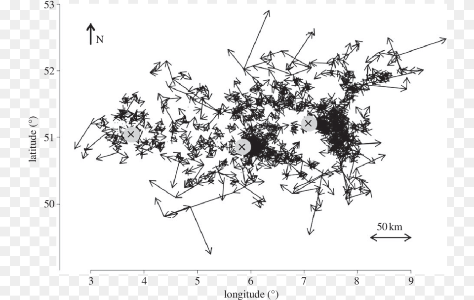 Reconstructed Btv 8 Epidemic In North Europe The Arrows Diagram, Chart, Plot, White Board Free Png Download