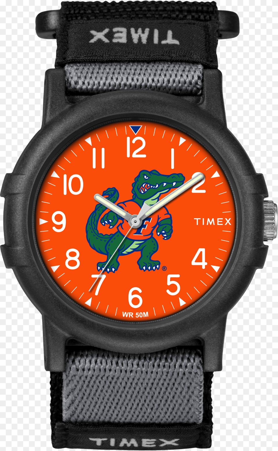 Recruit Florida Gators Large Watch, Arm, Body Part, Person, Wristwatch Free Png Download