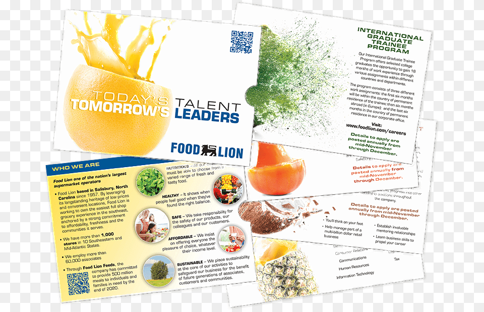 Recruitmentgallery Foodlion Sleevebrochure Flyer, Advertisement, Poster, Produce, Plant Free Png Download