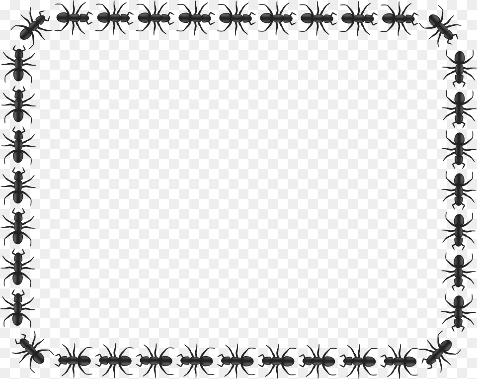 Rectangle Border Clipart Ant Border, Art, Floral Design, Graphics, Pattern Free Png