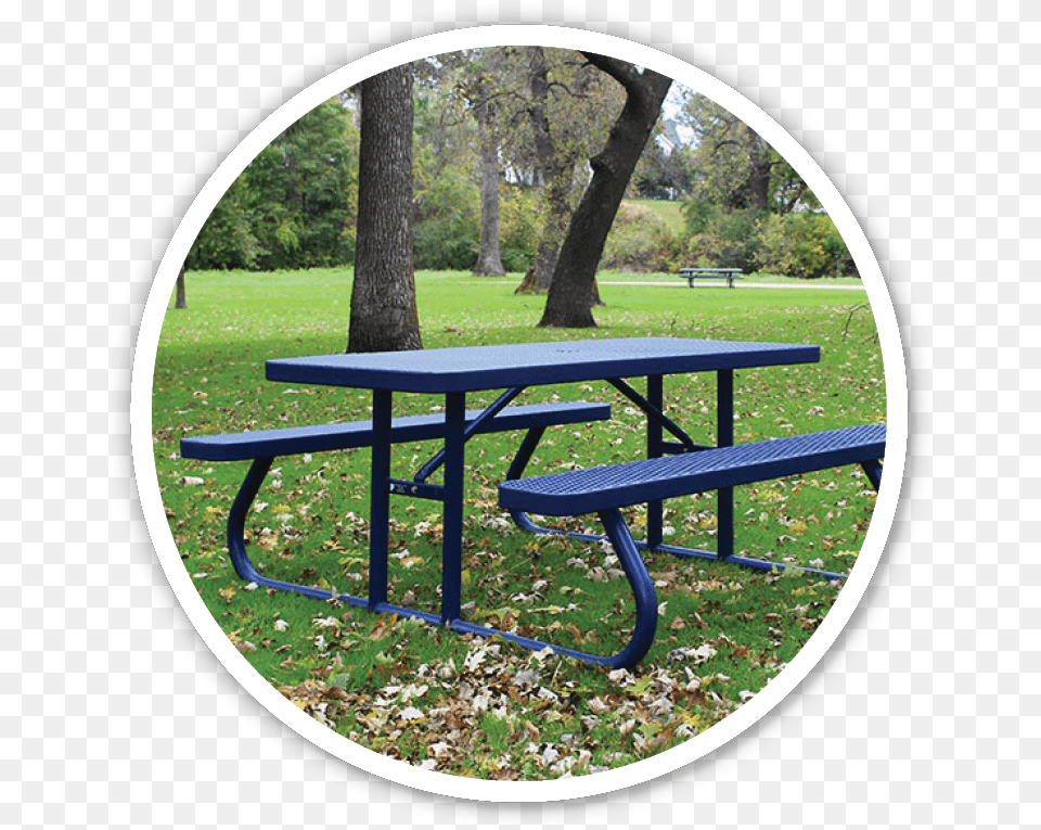 Rectangle Picnic Table Grass, Bench, Furniture, Plant, Park Png