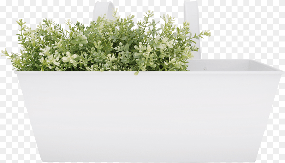 Rectangular Balcony Flower Pot Esschert Design Rectangle Pot Flower, Herbal, Herbs, Jar, Plant Png Image