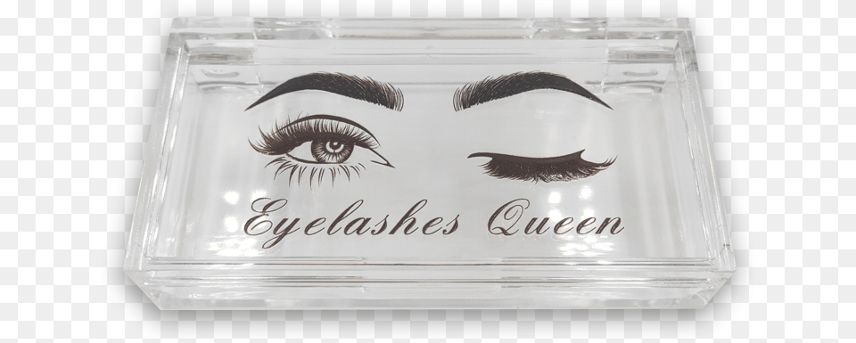 Rectangular Transparent Eyelash Packaging Box Eyes Eyelash Extensions, Animal, Bird, Face, Head Free Png Download