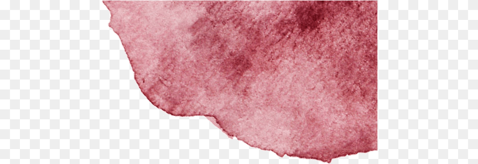 Recuerdosimborrables El Coto Stain, Flower, Plant, Petal, Home Decor Free Png