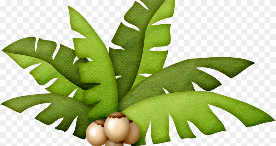 Recull De Per A Educaci Infantil I Primria Arvore Dinossauro, Leaf, Plant, Food, Produce Png