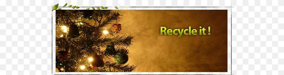 Recycle Christmas Tree Preghiere Di Natale, Plant, Fir, Festival, Christmas Decorations Free Transparent Png