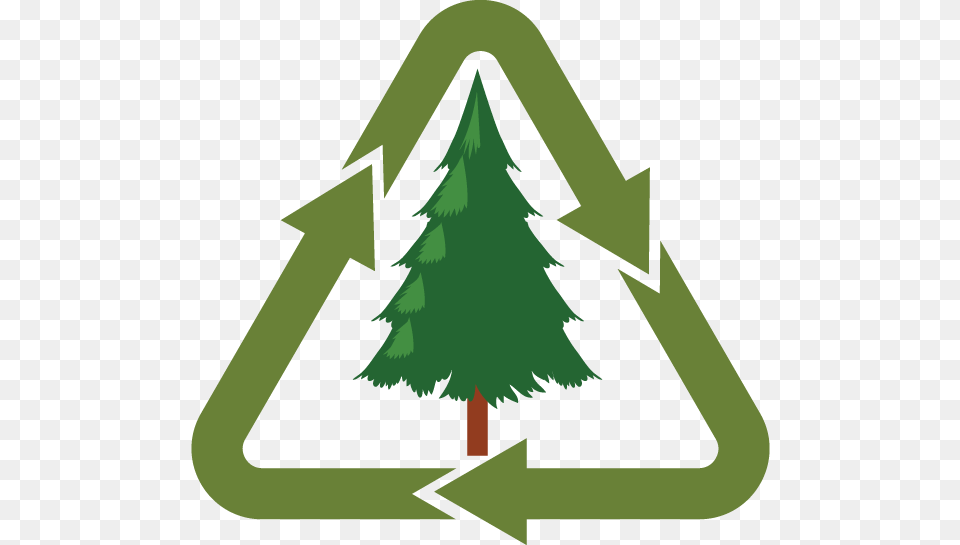 Recycle Trees, Recycling Symbol, Symbol, Green, Adult Png