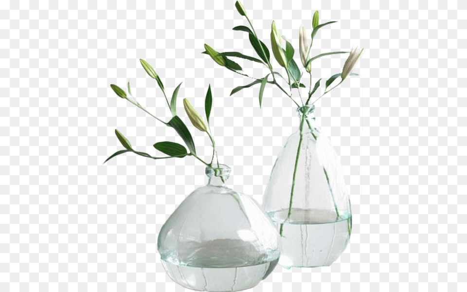 Recycled Glass Vase, Flower, Flower Arrangement, Jar, Plant Png
