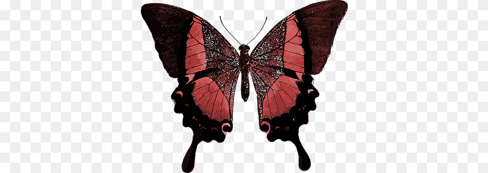 Red Person, Animal, Butterfly, Insect Png