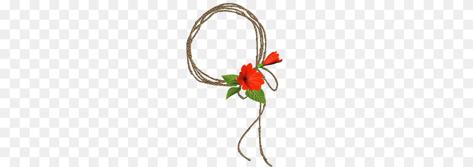 Red Flower, Flower Arrangement, Plant, Bow Png Image