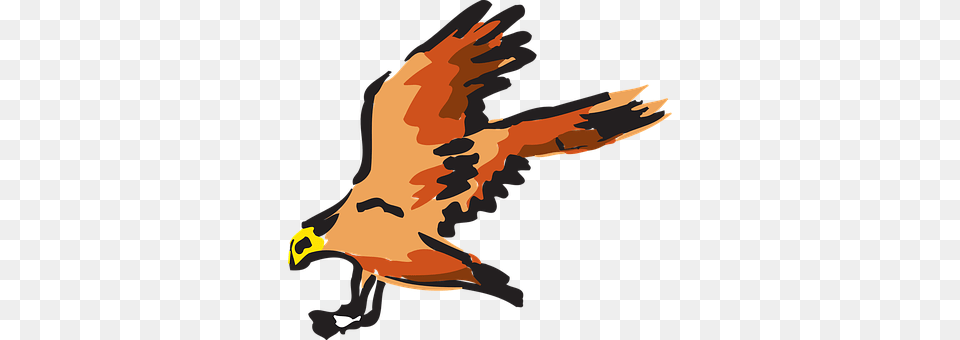 Red Animal, Beak, Bird, Flying Png