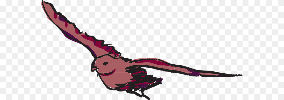 Red Animal, Bird, Flying, Person Free Png