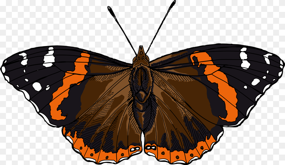 Red Admiral Butterfly Illustrated One Illustration Red Admiral Butterfly Clipart, Animal, Insect, Invertebrate Free Png