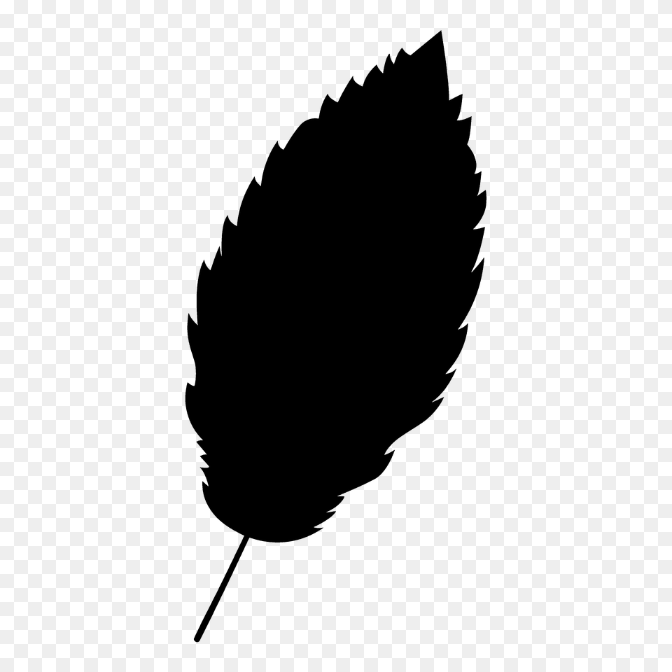 Red Alder Leaf Silhouette, Plant, Person Free Png Download