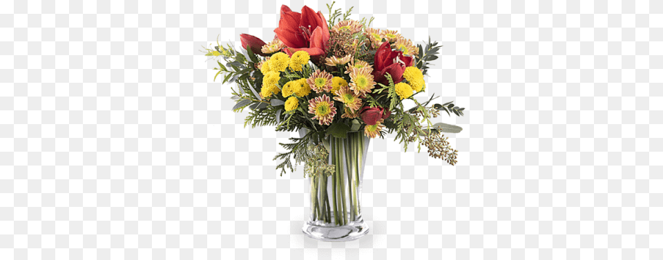 Red Amaryllis And Chrysanthemum Chrysanthemum, Art, Floral Design, Flower, Flower Arrangement Free Transparent Png