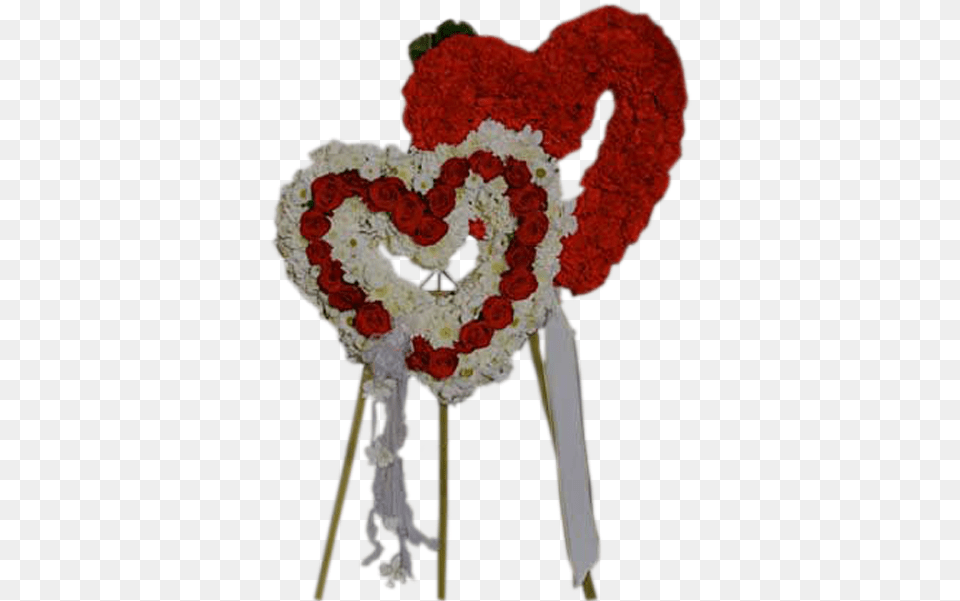 Red Amp White Double Heart Heart, Pattern, Graphics, Flower Arrangement, Flower Png