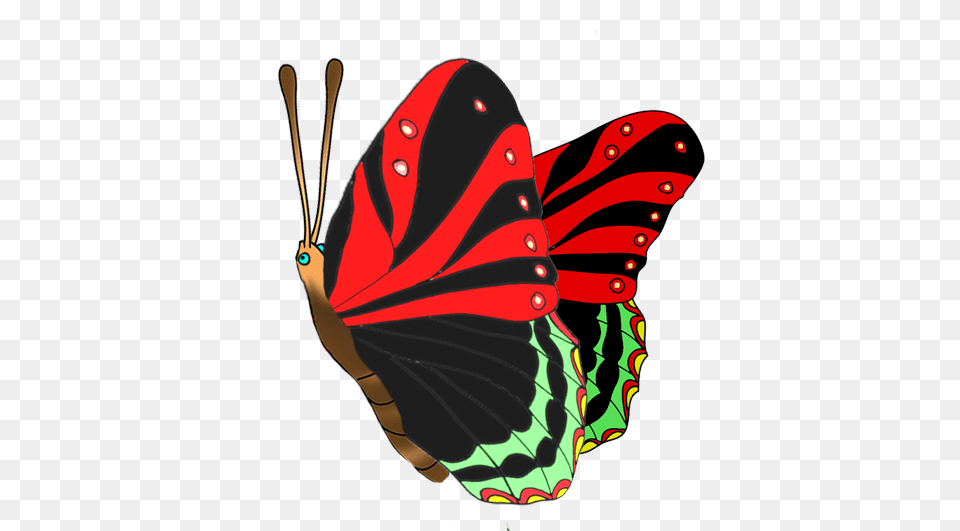Red And Black Butterfly Red And Black Butterfly, Person, Art, Animal, Insect Free Transparent Png