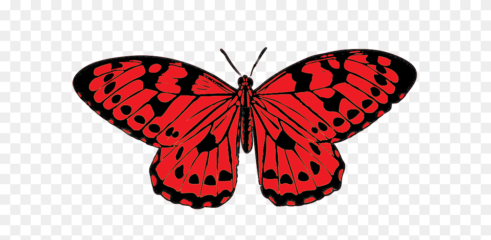 Red And Black Butterfly Transparent Red And Black Butterfly, Animal, Insect, Invertebrate Free Png