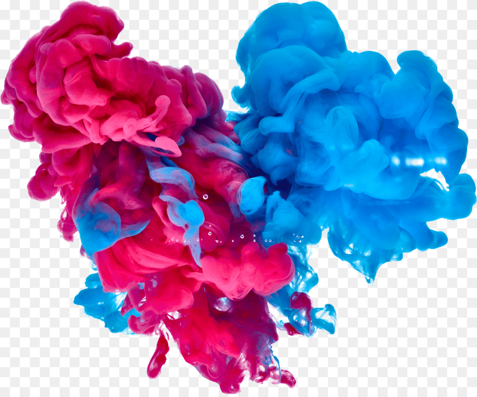 Red And Blue Smoke, Flower, Plant, Rose, Accessories Png Image