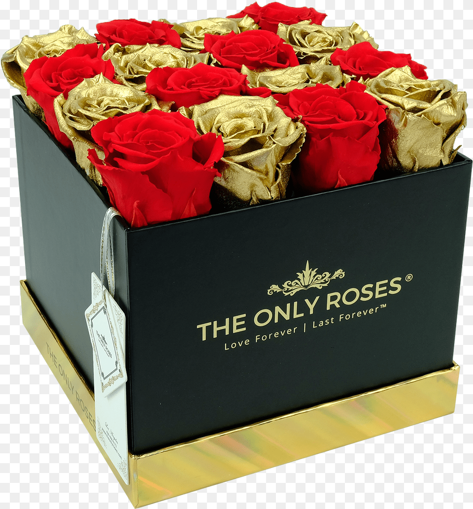 Red And Gold Preserved Roses Garden Roses, Flower, Flower Arrangement, Flower Bouquet, Plant Free Png Download