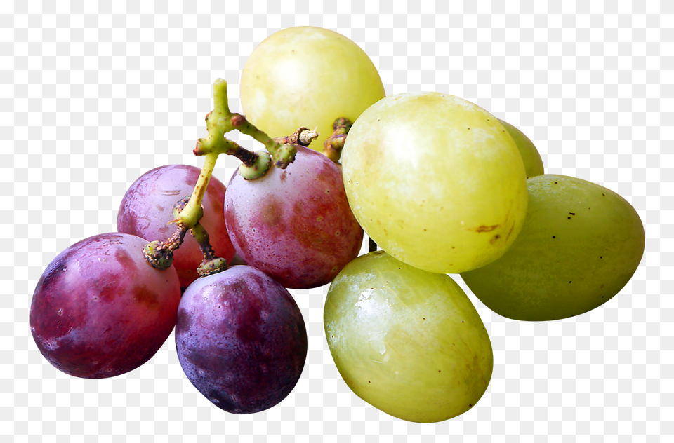 Red And Green Grapes, Food, Fruit, Plant, Produce Png