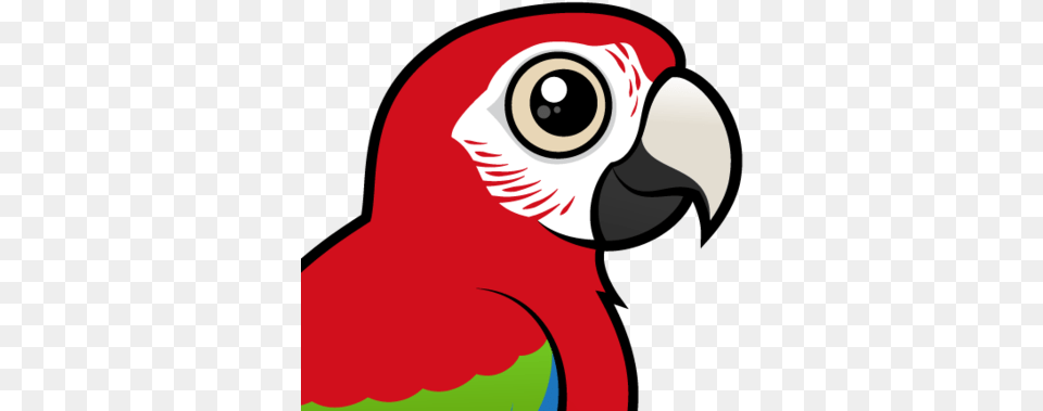 Red And Green Macaw Clipart Bird Draw Cute Scarlet Macaw, Animal, Beak, Parrot, Person Free Png