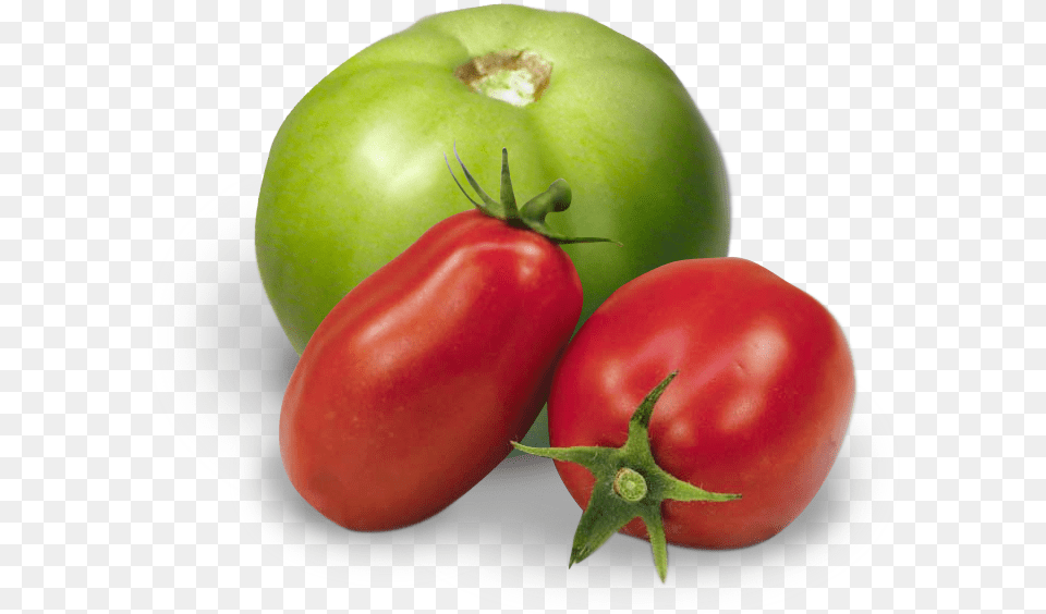 Red And Green Tomatoes, Food, Plant, Produce, Tomato Png