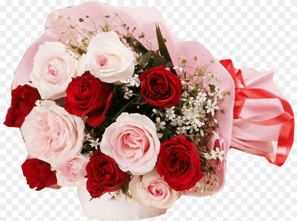Red And Pink Roses Bunch Good Night Rose Flowers, Flower, Flower Arrangement, Flower Bouquet, Plant Free Png Download