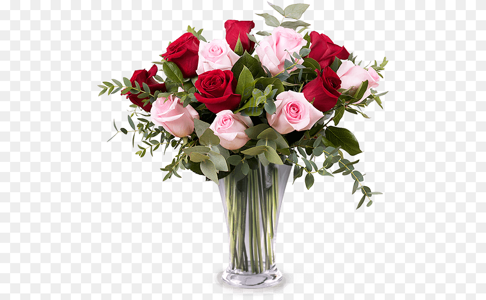 Red And Pink Roses Flower Shop Banner, Rose, Flower Arrangement, Flower Bouquet, Plant Free Png Download