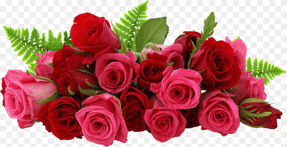 Red And Pink Roses Picture Red Rose Flower Bouquet Free Png