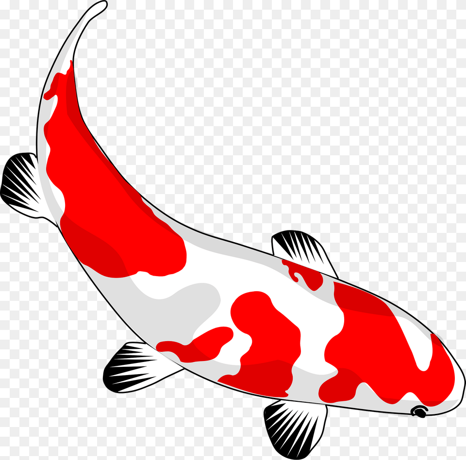 Red And White Koi Fish Clipart, Animal, Carp, Sea Life, Food Free Png