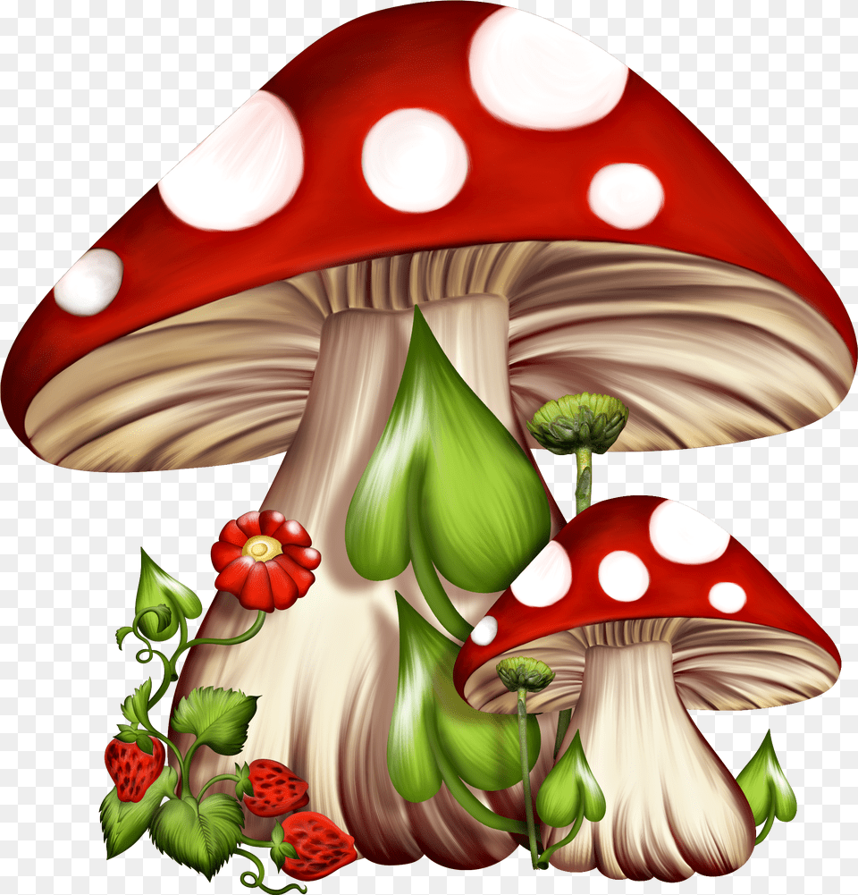 Red And White Mushrooms Clipart Download Fairy Mushroom Png Image