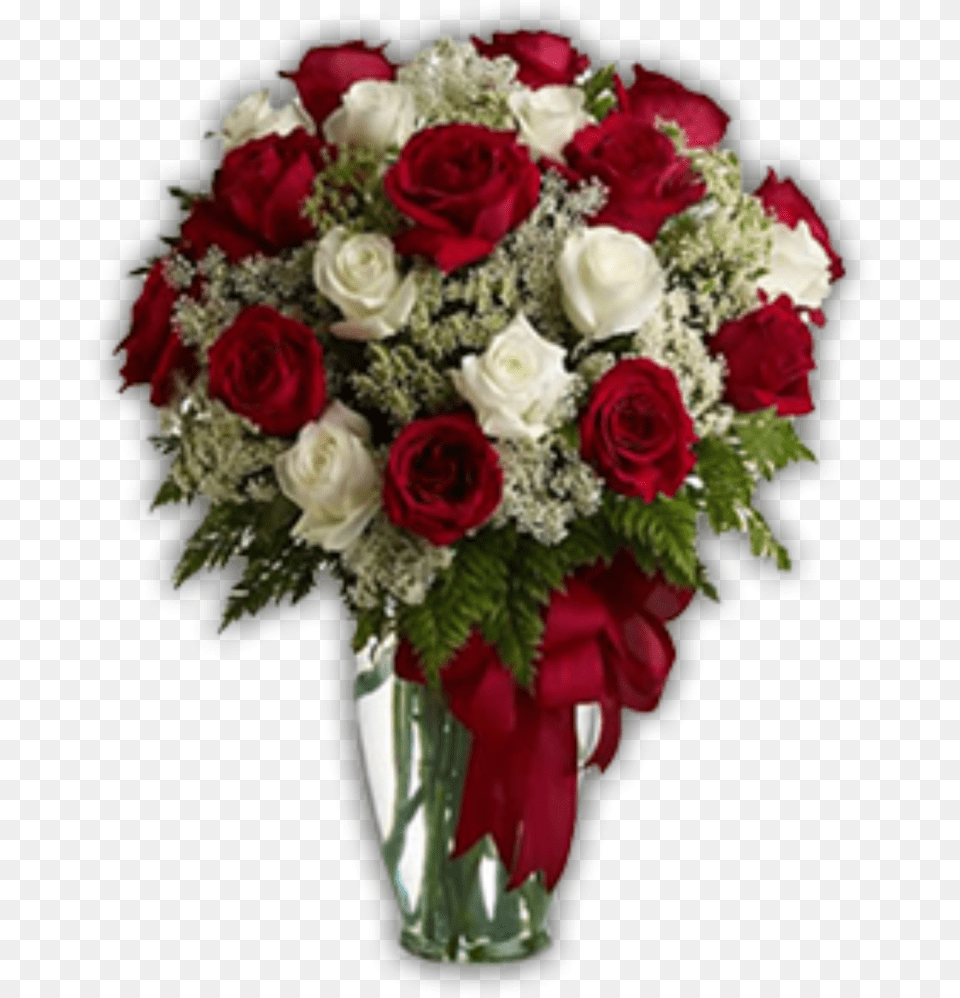 Red And White Roses Bouquet, Rose, Plant, Flower, Flower Arrangement Png