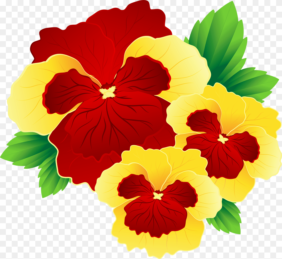 Red And Yellow Flowers Pansy Flower Clipart, Plant, Hibiscus, Rose, Petal Free Png