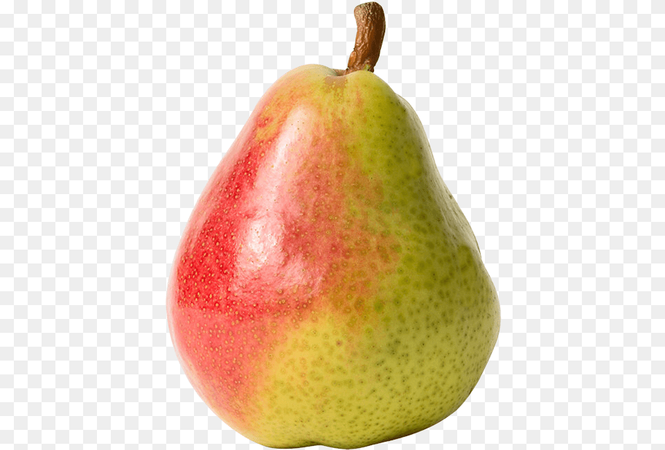 Red And Yellow Pear Clipart Pear, Food, Fruit, Plant, Produce Png