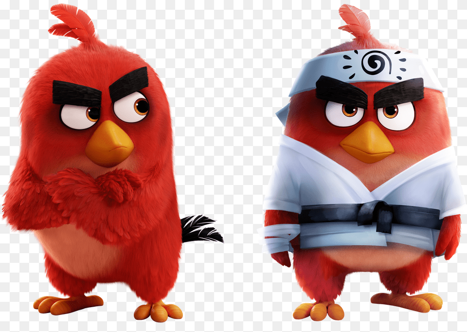 Red Angry Birds Wiki Fandom Chuck Red Angry Birds 2 Free Png