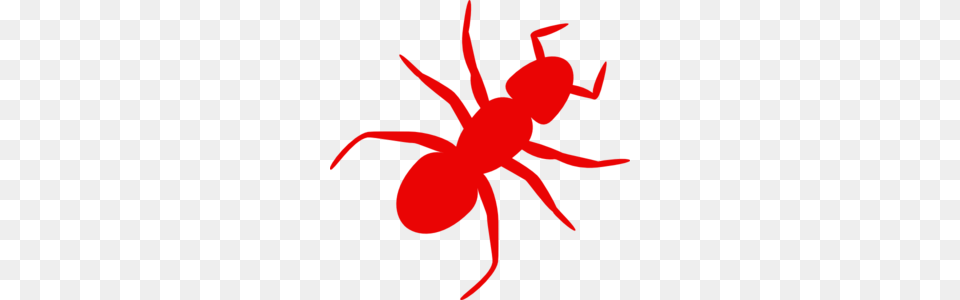 Red Ant Clip Art, Animal, Insect, Invertebrate Free Png