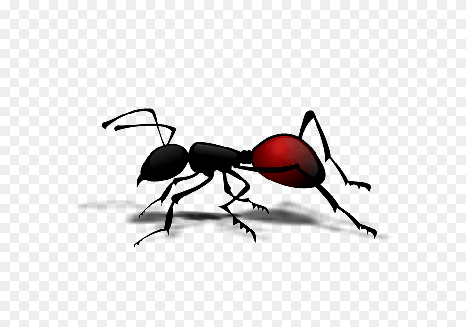 Red Ant Clipart, Animal, Insect, Invertebrate Png