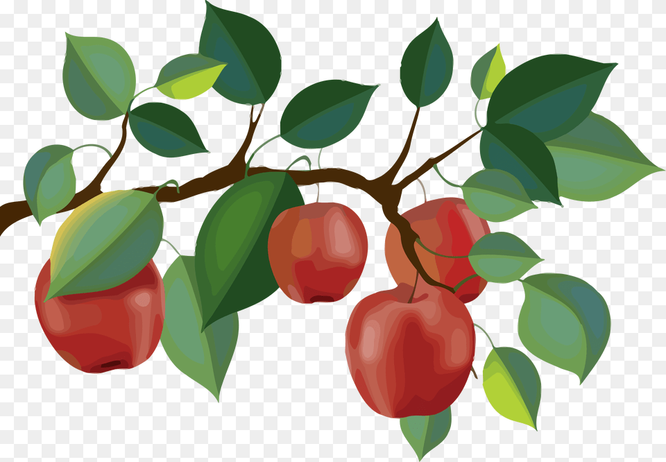 Red Apple Branch Clipart Apple Tree Branch Clipart, Food, Fruit, Plant, Produce Png Image