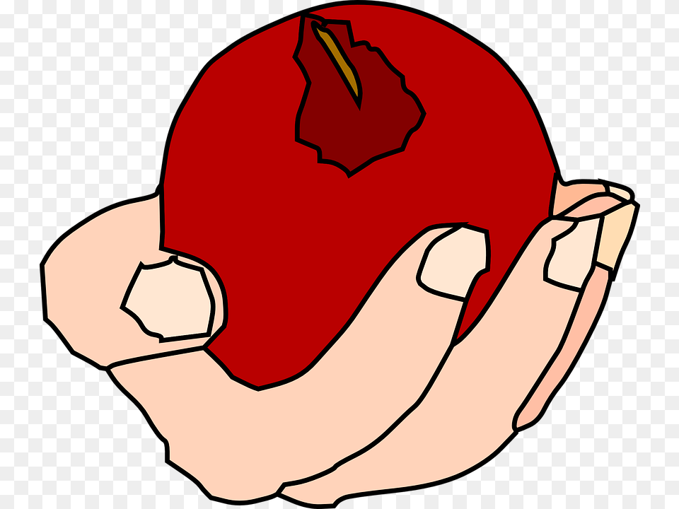 Red Apple Cliparts 29 Buy Clip Art Hand Holding Fruuit Transparent, Plant, Fruit, Food, Produce Png