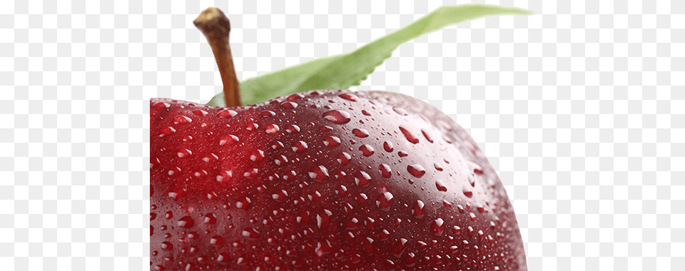 Red Apple Financial Business Services Red Apple, Food, Fruit, Plant, Produce Free Png Download