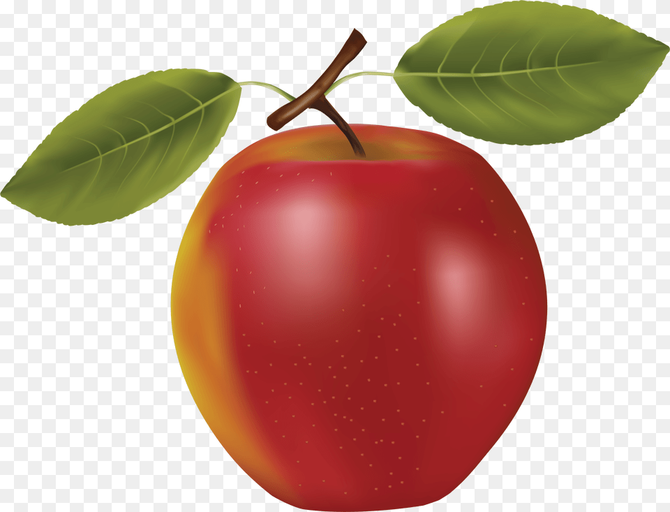 Red Apple Image Fruit Vector, Food, Plant, Produce Free Png