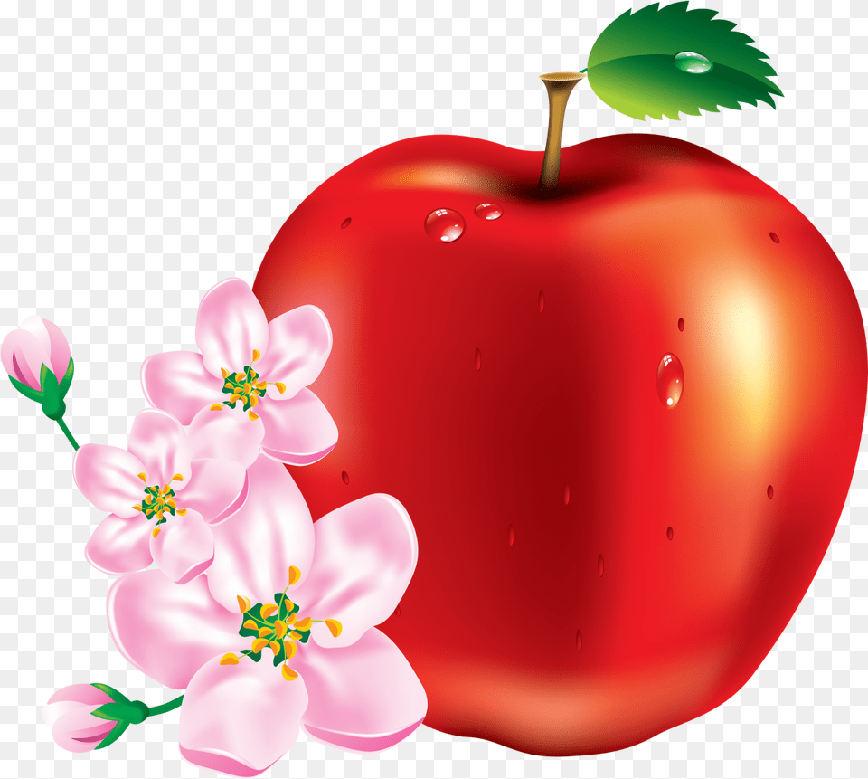 Red Apple Fruits Vector, Food, Fruit, Plant, Produce Png Image