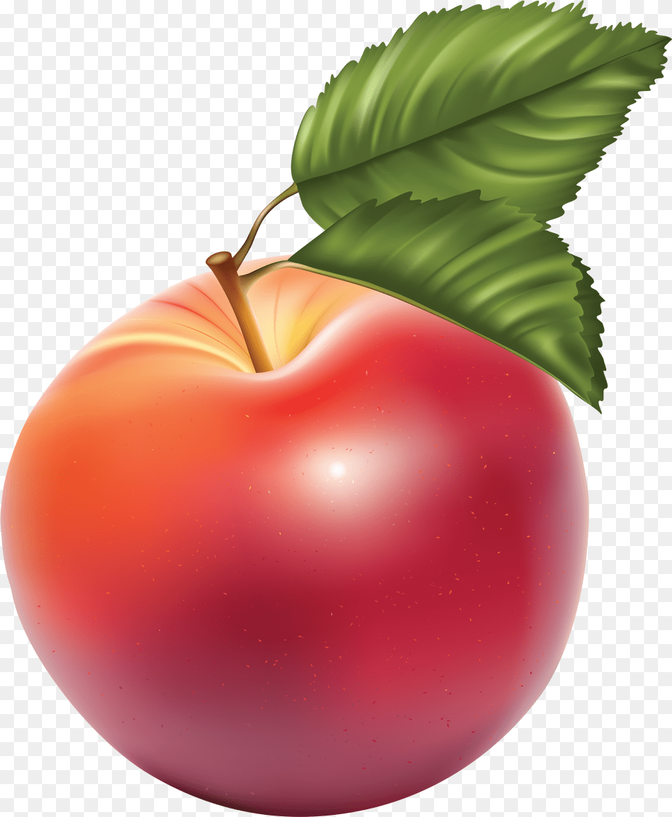 Red Apple Vector Fruit, Food, Plant, Produce Free Png Download