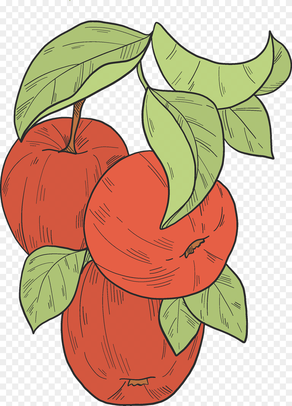 Red Apples On A Branch Clipart, Food, Fruit, Plant, Produce Free Png Download