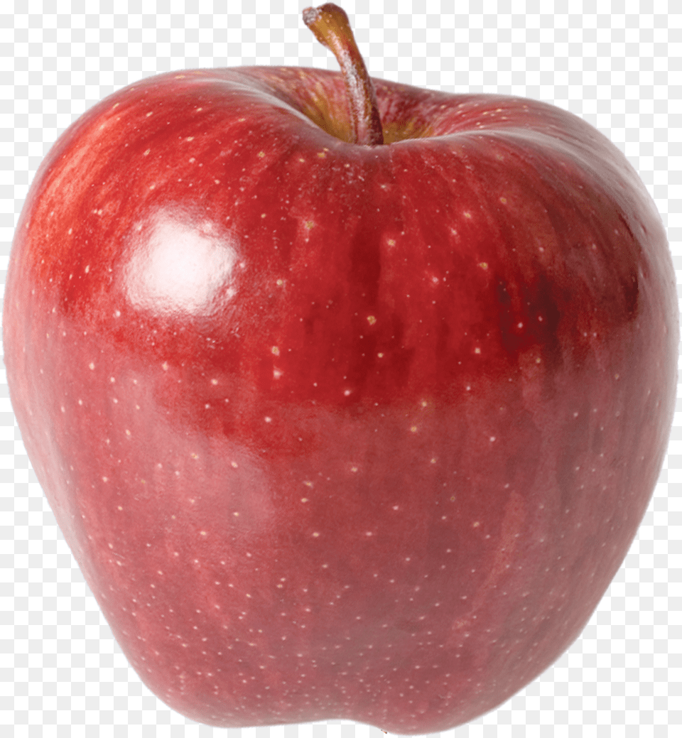 Red Apples Picture Red Delicious Apple, Animal, Mammal, Wildlife, Smoke Pipe Free Png
