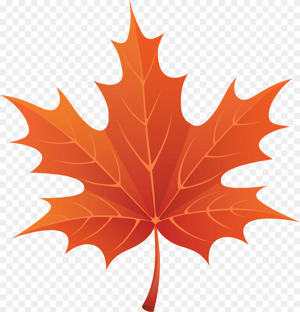 Red Autumn Leaf Clipart Image Fall Leaf Cartoon, Maple Leaf, Plant, Tree, Maple Free Png