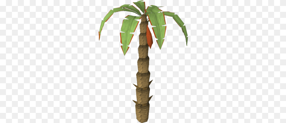 Red Banana Tree The Runescape Wiki Twig, Palm Tree, Plant, Tree Trunk, Person Free Png Download